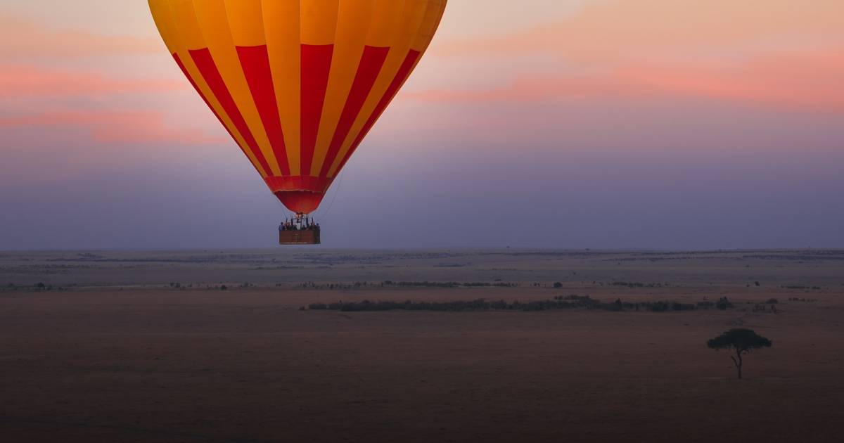 Christmas Safari 2022 Christmas Safari: 10 Best Holiday Packages - Tourradar