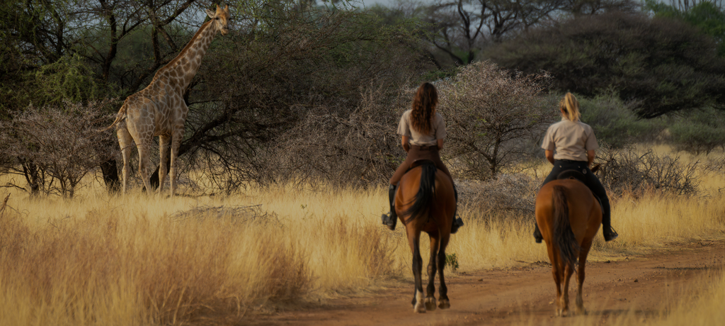 two people on horseback whilst on safari looking at a giraffe
