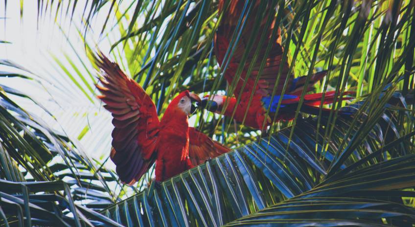 10 Amazing Wildlife Tours & Trips 2022 - TourRadar
