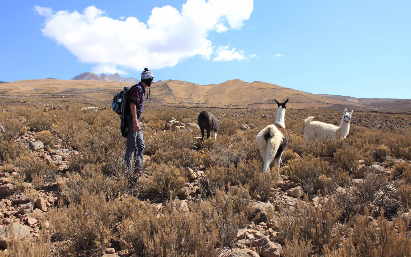 10 Best South America Backpacking Tours & Trips 2024/2025 TourRadar