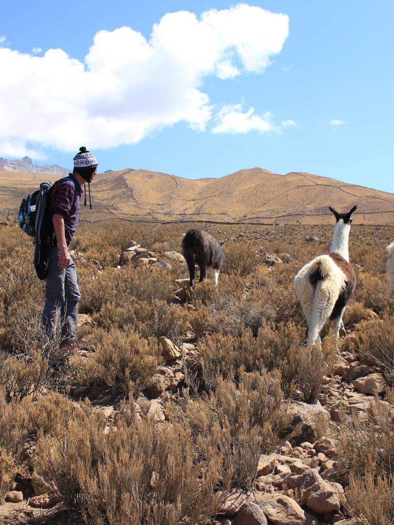 10 Best South America Backpacking Tours & Trips 2024/2025 TourRadar