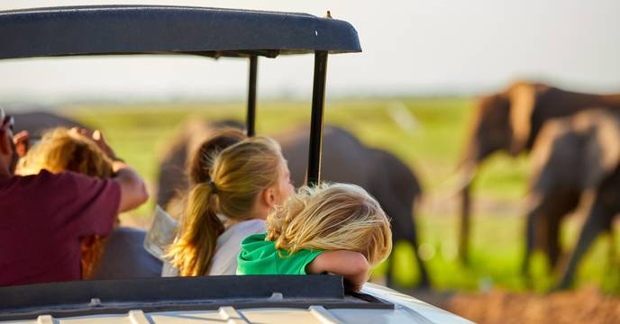 children enjoying a safari