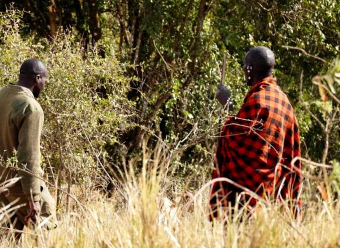 Two Maasai guides on a walking safari