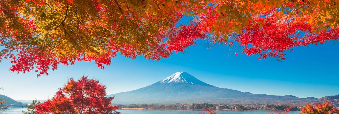 Discover the Best Japan Vacation Packages 2025 - TourRadar