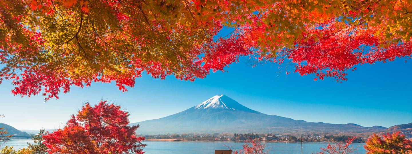 Discover the Best Japan Vacation Packages 2025 - TourRadar