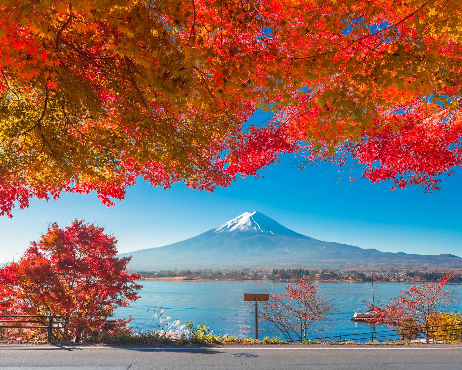 best travel packages to japan