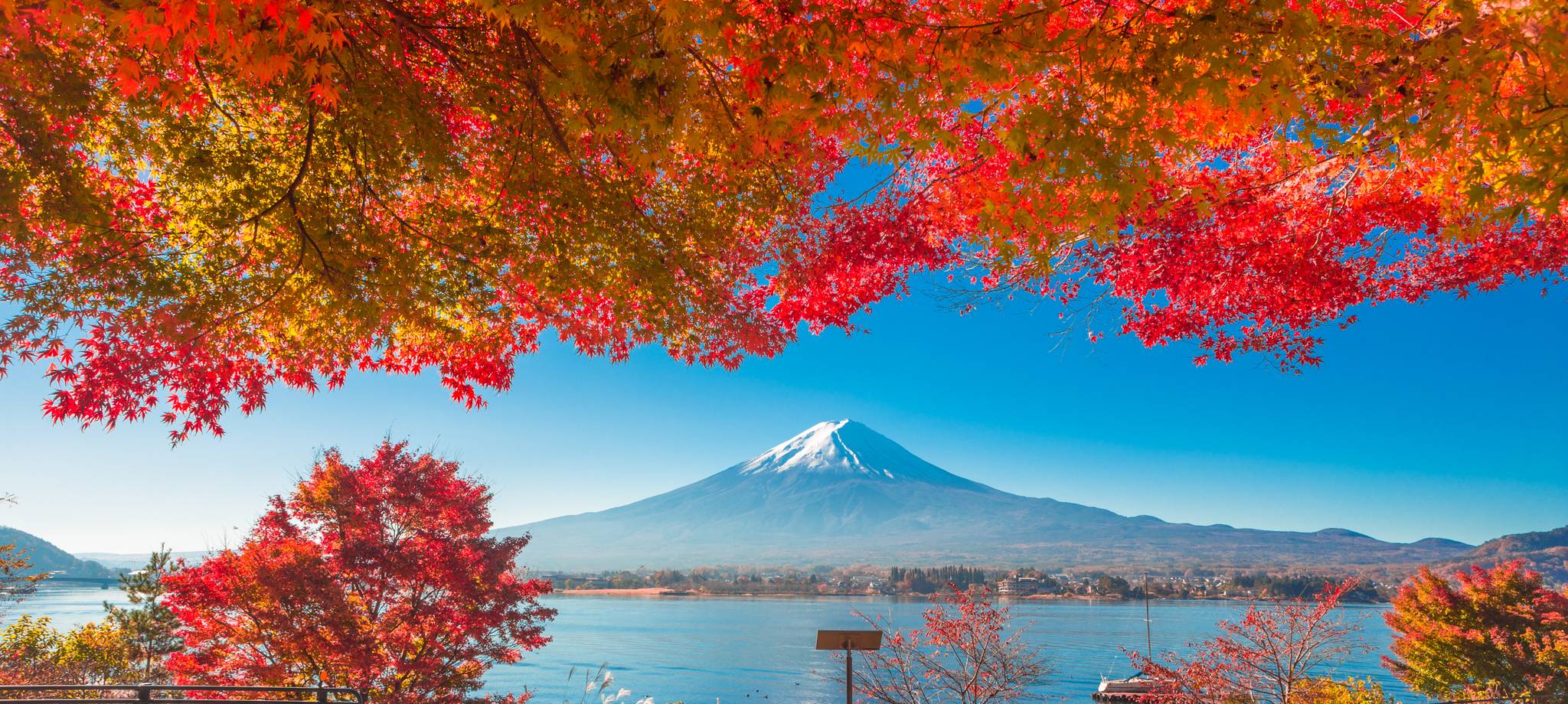 Discover the Best Japan Vacation Packages 2022/2023 TourRadar