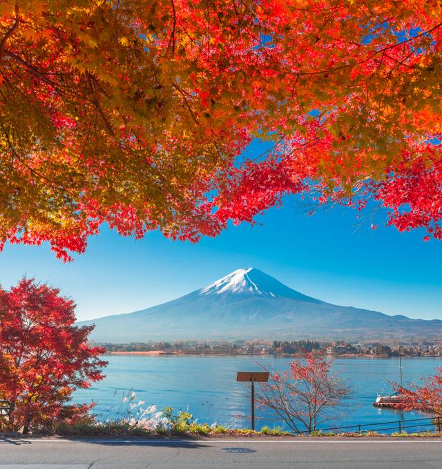 Discover the Best Japan Vacation Packages 2025 - TourRadar