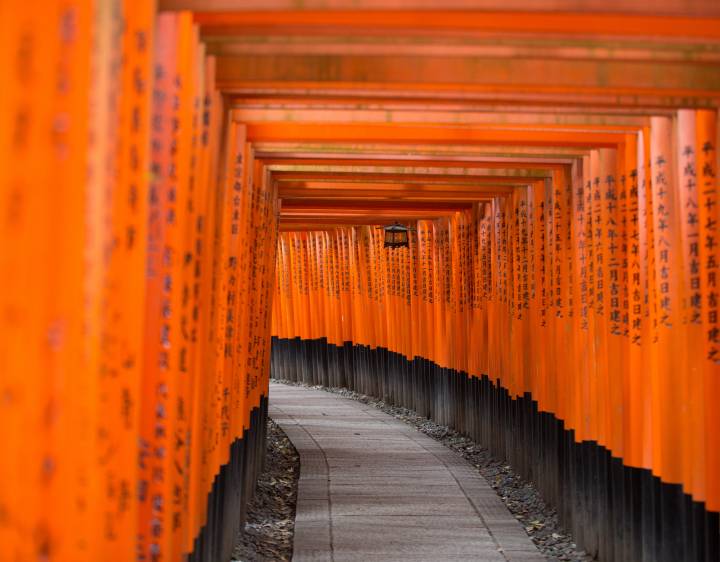 Discover the Best Japan Vacation Packages 2021 TourRadar