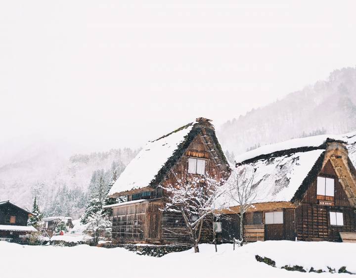 Discover the Best Japan Vacation Packages 2021 TourRadar