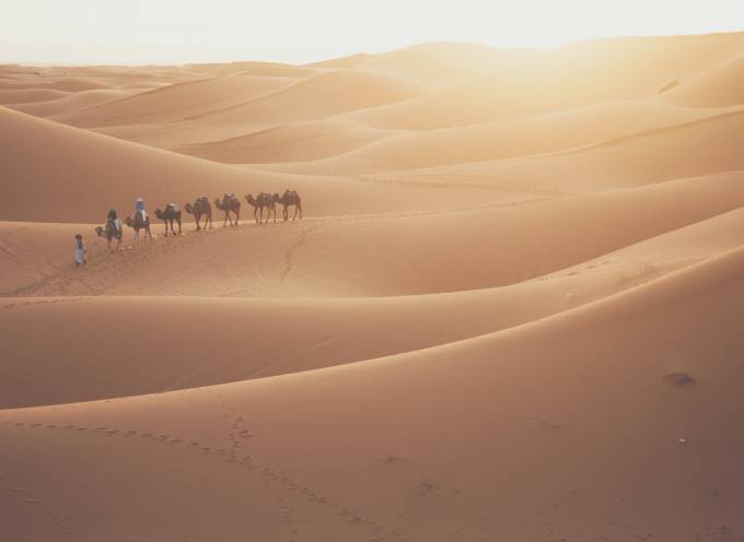 Camel rides in the desert, Merzouga, Morocco