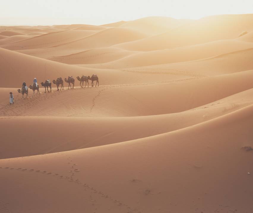 Best 10 Morocco Vacation Packages 2025/2026 TourRadar