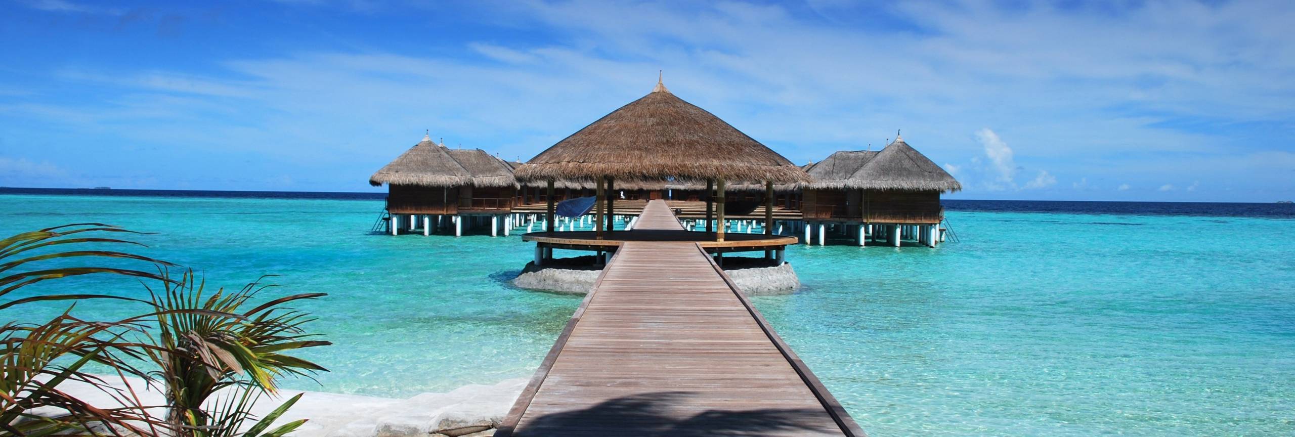 Discover the Best Maldives' Vacation Packages 2025 TourRadar