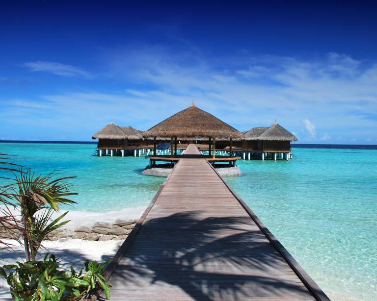 Discover the Best Maldives' Vacation Packages TourRadar