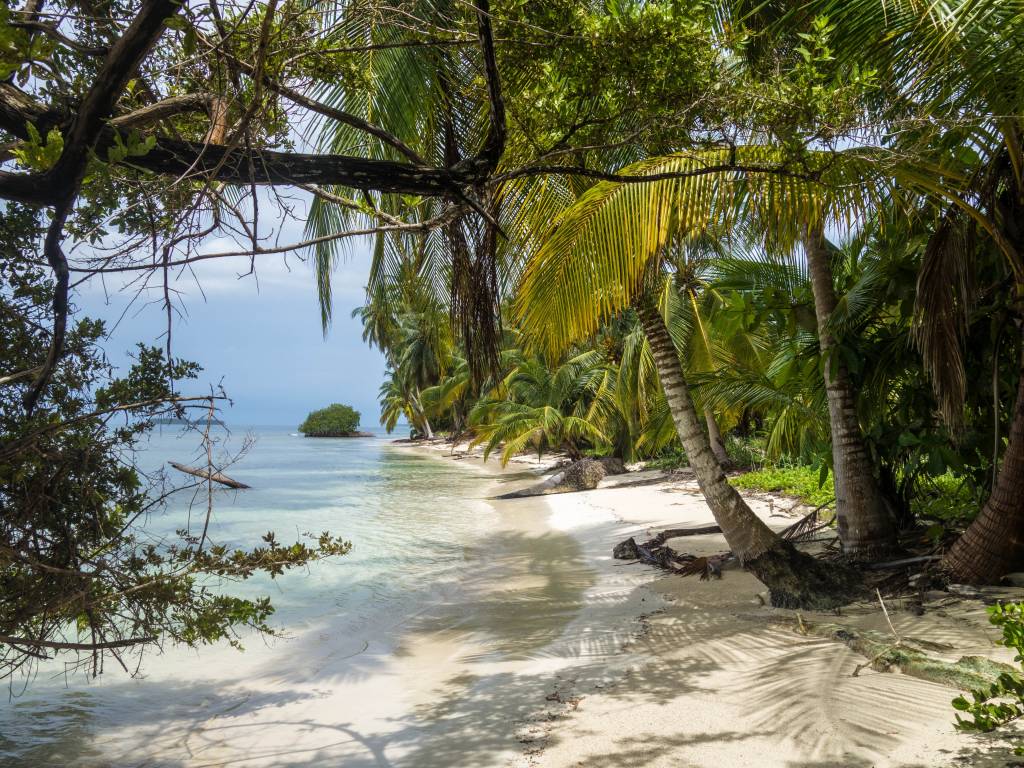 Best 10 Panama Vacation Deals 2021 - TourRadar