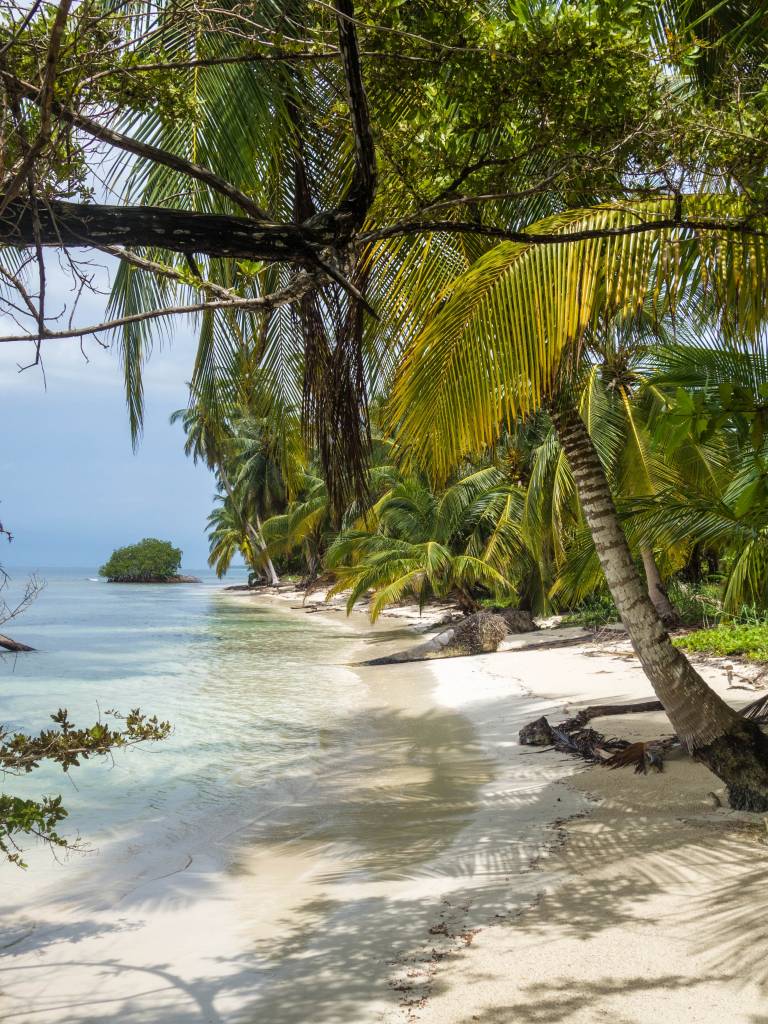 Best 10 Panama Vacation Deals 2023/2024 - TourRadar