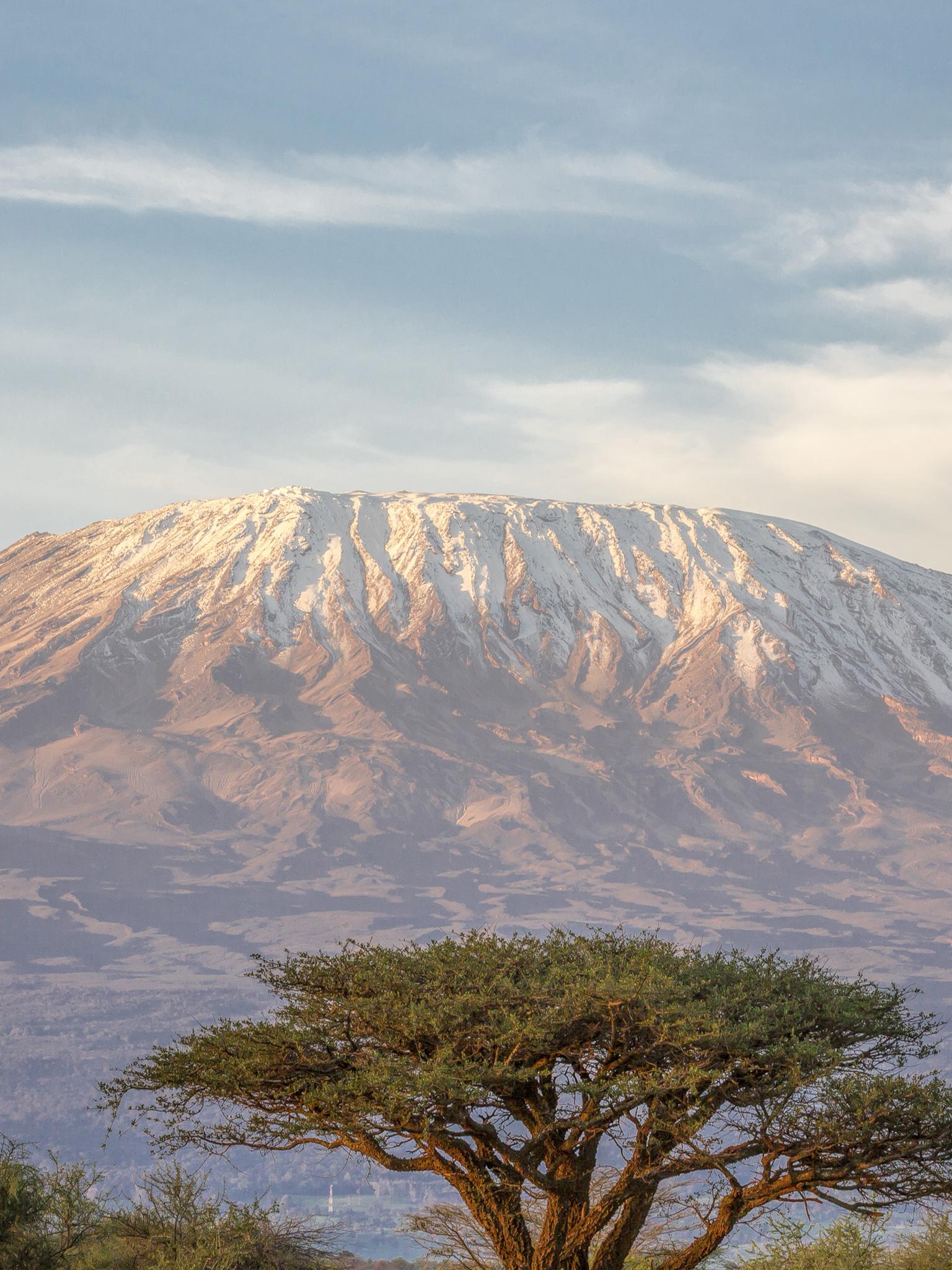 The Shira Route & Shira Plateau: Climbing Kilimanjaro - TourRadar