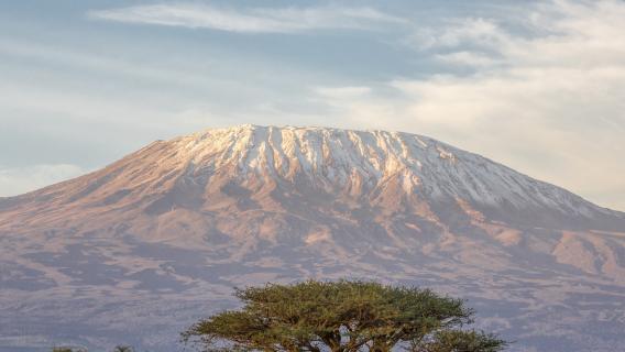 The Shira Route & Shira Plateau: Climbing Kilimanjaro - TourRadar