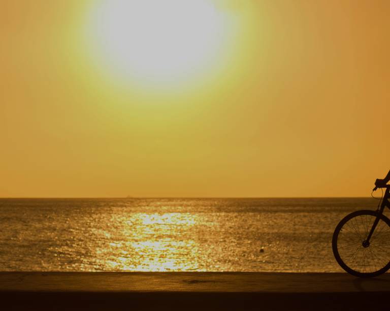 cycling tour companies