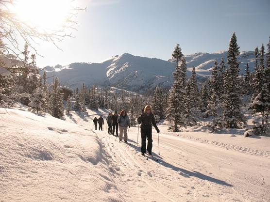 ski tour guide