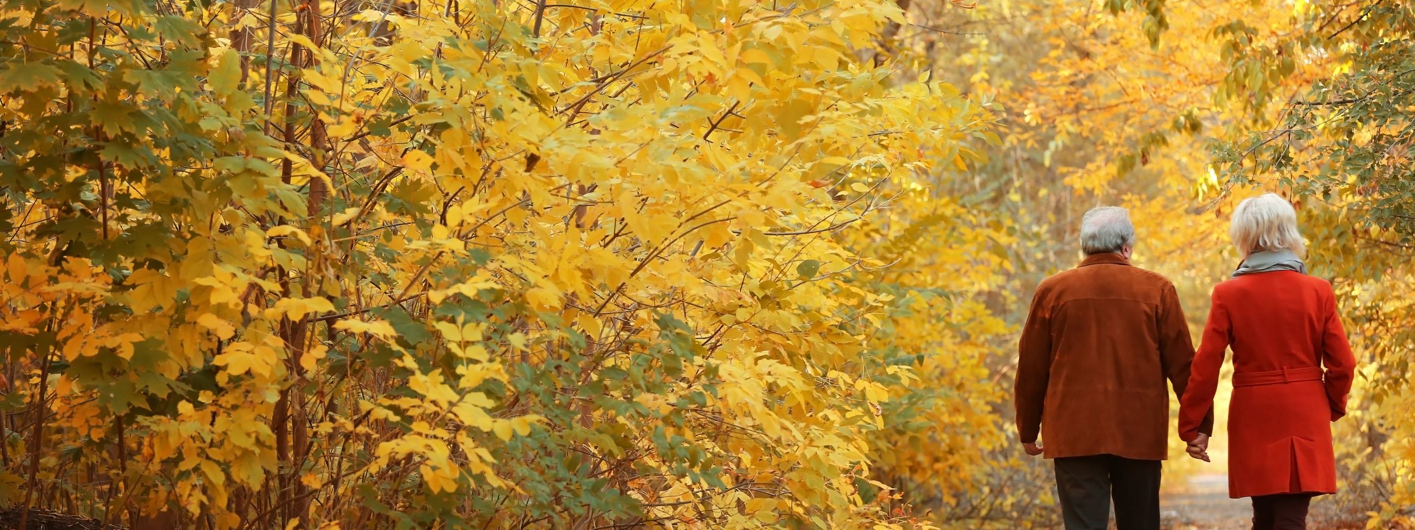 10 Best Walking Tour Companies (with Reviews) TourRadar