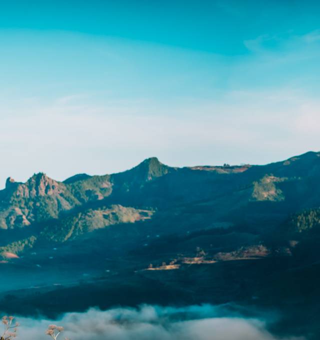 10 Best Family Travel Agencies 2024 TourRadar