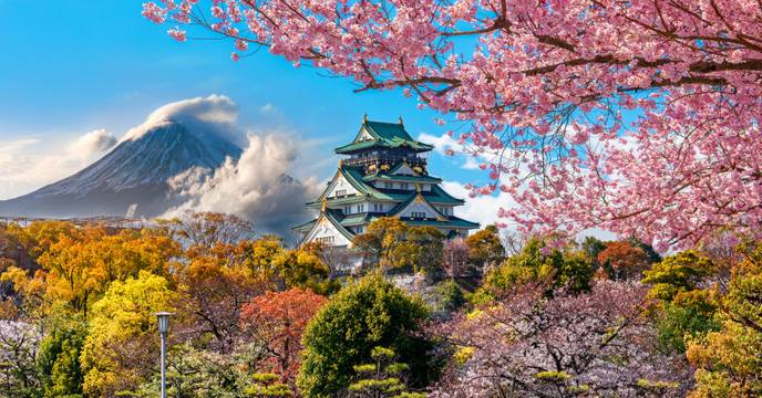 osaka castle park during autumn