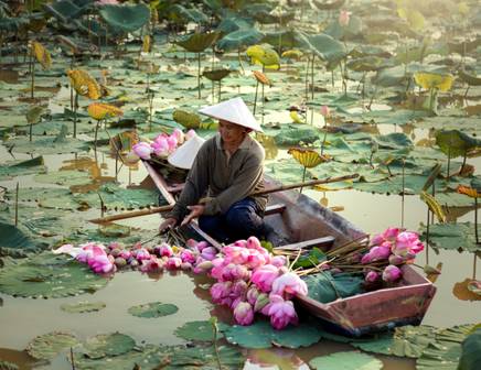 Frau in traditionellem Boot in Vietnam