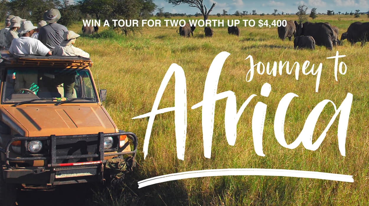travel free win