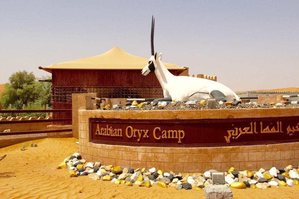 Wahiba: arabian oryx  Camp