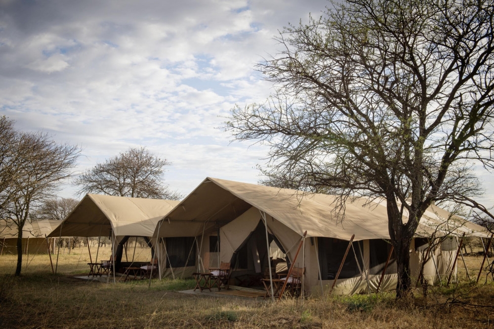 Serengeti Safari Camp, 