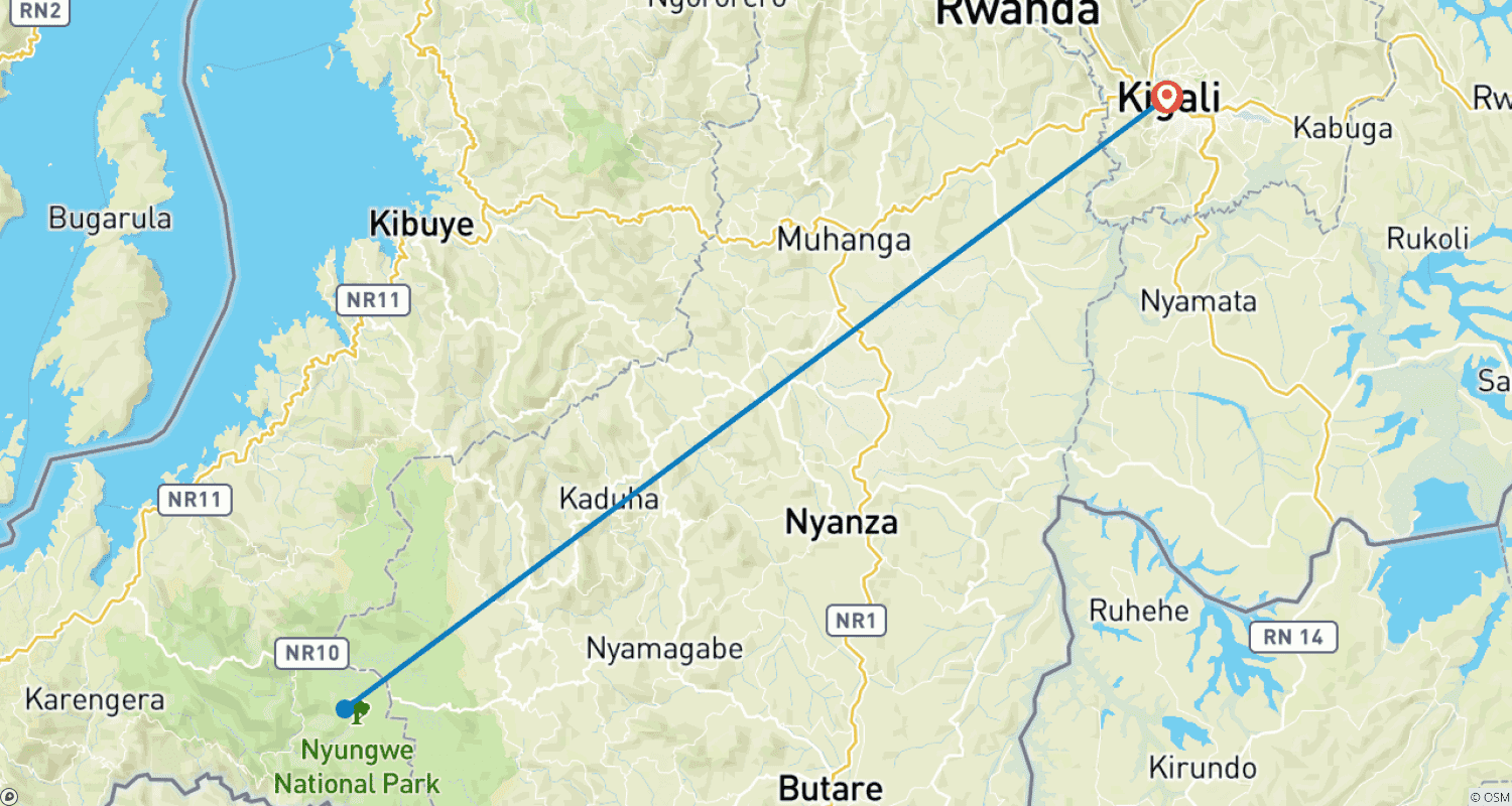 ルワンダのNyungwe Forestでチンパンジー追跡とキャノピーウォークを体験 (完全プライベート)のルートマップ