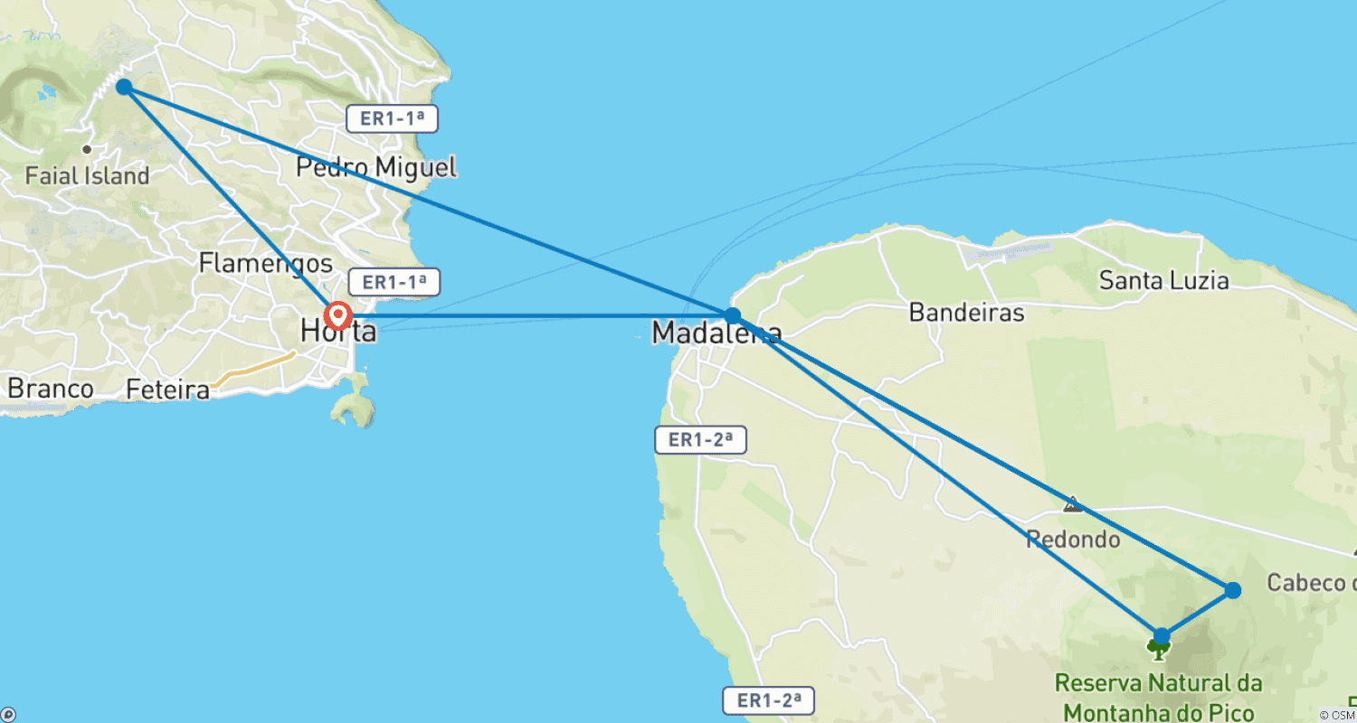 Mapa trasy: Wieloryby i Delfiny