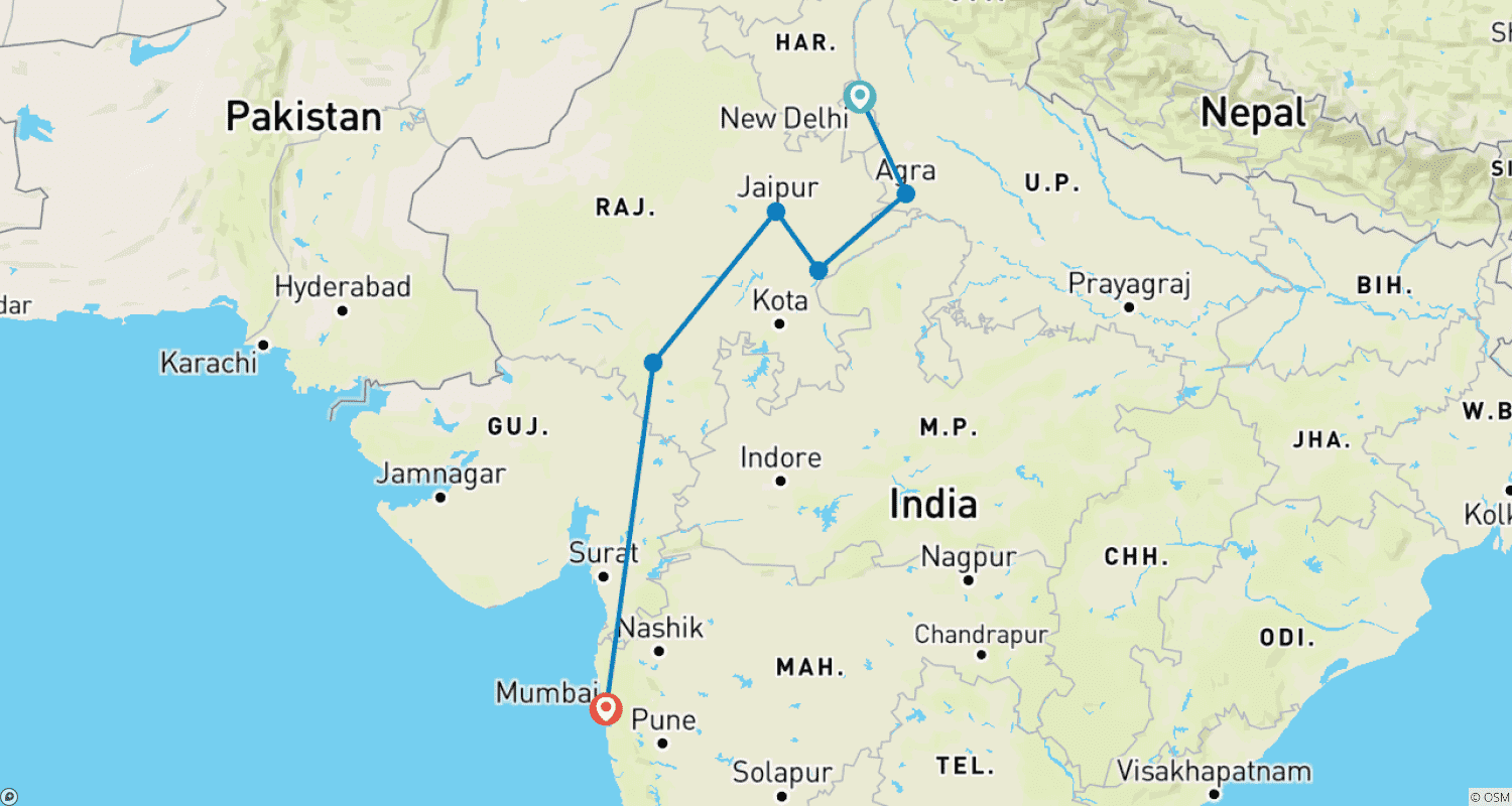 インドの象徴:Taj TigerとUdaipur、Mumbaiの活気あるナイトライフのルートマップ