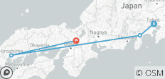  12-Day Japan Family Adventure through Tokyo, Kyoto, Osaka and Beyond - 4 destinations 