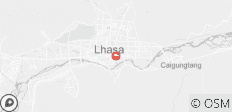  4 Dagen Lhasa City Essential Group Tour - 1 bestemming 