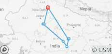  Circuito fotográfico de tigres en la India - 10 destinos 