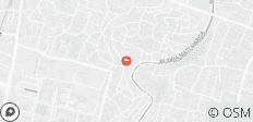 Visite privée d\'une journée à Katmandou - 1 destination 