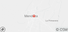  5-tägige Mendoza-Abenteuertour - 1 Destination 