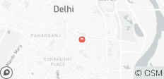  Old and New Delhi Private Guided Full or Half-Day Tour - 1 destination 
