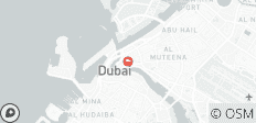  Duizelingwekkende reis naar Dubai - 1 bestemming 