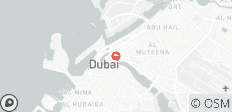  Forfait 5* Explore Dubai 4 jours et 3 nuits - 1 destination 