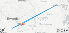 4 Days Gorilla Trekking, Big 5 &amp; Big Cats in Rwanda Tour - 4 destinations 