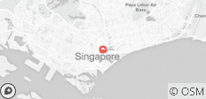  Amazing Singapore (4 Days) - 1 destination 