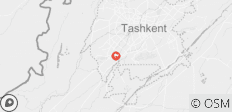  Tashkent City Tour - 1 destination 
