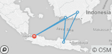  Expédition en Indonésie : Orangs-outans de Kalimantan - 5 destinations 