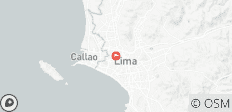  EXPLOREZ LES MERVEILLES DE LIMA : VISITE DE LA VILLE - 1 destination 