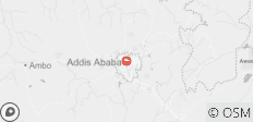  Addis Abeba Tagestour - 1 Destination 