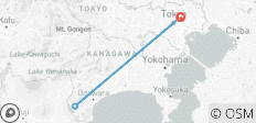  Hakone Entdeckungsreise: Das Tor zu Mount Fuji - 3 Tage - 3 Destinationen 