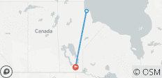  Polar Bears in Manitoba (6 Days) - 3 destinations 